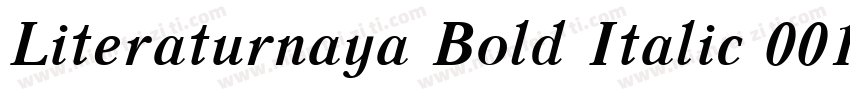 Literaturnaya Bold Italic 001.001字体转换